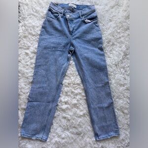 Abercrombie and Fitch Curve Love 90s Straight jeans